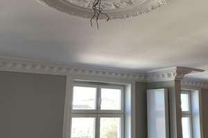 WG`s aufgepasst, Traumwohnung, 4 Zimmer Jugendstil, Top saniert, EBK, auf Zeit bis 30.April 2027 – Die vollständige Adresse der Immobilie erhältst du vom Anbieter., 20359 Sankt Pauli, Hamburg – Vorschaubild 12
