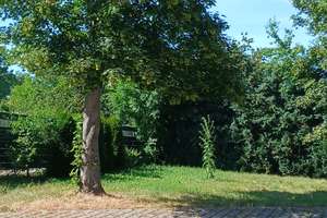 Gepflegte 3-Raum-Wohnung  + PKW-Stellplatz* in MD-Lemsdorf – 39116 Lemsdorf, Magdeburg – Vorschaubild 12