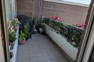 3-Zimmer-Wohnung mit Balkon in Gelsenkirchen Bulmke-Hüllen – Borgmannshof 24, 45888 Bulmke-Hüllen, Gelsenkirchen – Vorschaubild 12