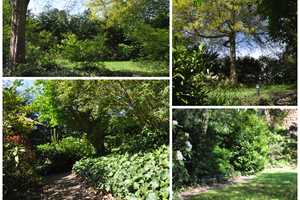 Rarität nahe Düsseldorf: Freistehendes Haus mit parkähnlichem Süd-West-Garten in Rheinnähe – Neuss (Rhein-Kreis) – Vorschaubild 3