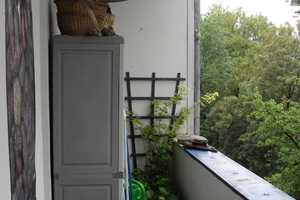 Altbauwohnung mit Balkon in der Charlottenstraße 71 sucht einen neuen Mieter. – Wuppertal – Vorschaubild 8