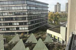 2-Zimmer Wohnung in Mannheim Stadtmitte – Collinistraße 5, 68161 Schwetzingerstadt/Oststadt, Mannheim – Vorschaubild 6