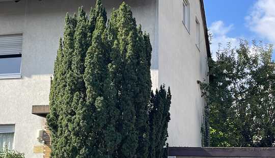 Bild von Renovierungsbedürftiges Reihenhaus in beliebter Lage