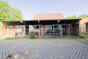 Natur, Ruhe und Pferdeglück – Exklusiver Pferdehof mit 2,1 ha in Brilon-Alme – Die vollständige Adresse der Immobilie erhältst du vom Anbieter., 59929 Brilon – Vorschaubild 21