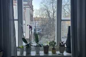 Single Appartment for 3 months sublet in  Blücherplatz 15, 52068 Aachen – Blücherplatz 15, 52068 Aachen – Vorschaubild 2