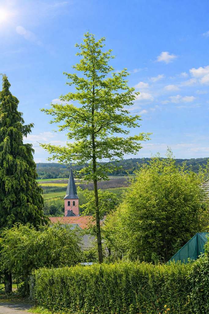 Immobilie in Wachtberg - Raumwunder mit Potential! - Bild 0