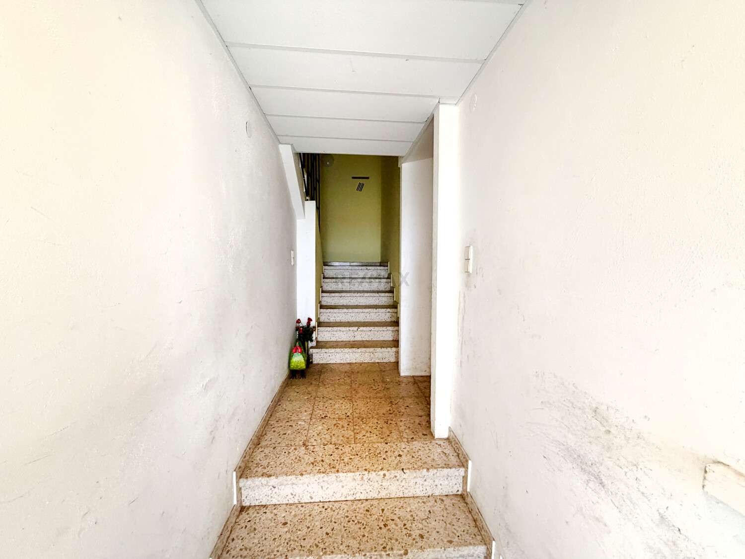 Dornröschenschloss freut sich auf Handwerkerhände!, Göppingen Kreis – Bild 4