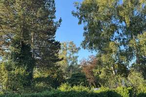 Toplage! REH,Reihenendhaus Mögeldorf Tiergarten mit Garten und Garage – Ginsterweg 67, 90480 Schmausenbuckstraße, Nürnberg – Vorschaubild 8