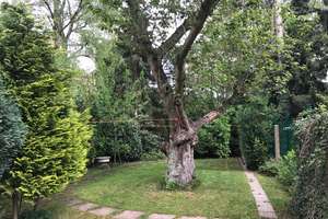 Rüttenscheid, Kernsaniertes A+ Haus, 4 Einheiten, 23-fache JME, großer/ruhiger Garten – Die vollständige Adresse der Immobilie erhältst du vom Anbieter., 45131 Rüttenscheid, Essen – Vorschaubild 5