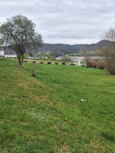 Kompakte 3 Zimmer-Küche-Bad Wohnung im DG ab sofort zu vermieten