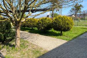 Malchin: 3.600 m² Grundstück mit 2 Familienhaus frisch saniert per SOFORT zu VERKAUFEN – Basedowerstr 82, 17139 Malchin – Vorschaubild 9