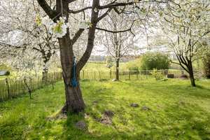 Frühling am Großen Plöner See: Großes, modernes Haus für die ganze Familie – Die vollständige Adresse der Immobilie erhältst du vom Anbieter., 24326 Dersau – Vorschaubild 17