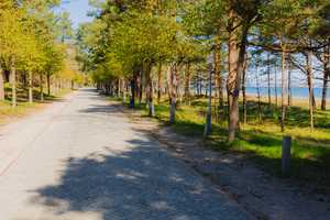 Property thumbnail 19