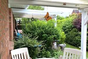 Toller Bungalow mit Einliegerwohnung in sehr guter Lage in Sörup / Ostsee ! Hier will man hin ! – Schleswig-Flensburg (Kreis) – Vorschaubild 20