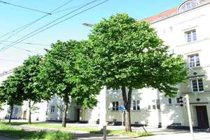 Eutritzsch - komplett neu sanierte & moderne Dachgeschoßwohnung mit Loggia in verkehrsgünstiger Lage – Delitzscher Straße 140, 4129 Eutritzsch, Leipzig – Vorschaubild 2