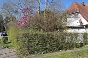 Einfamilienhaus in traumhafter Lage mit großem Potenzial – Harburg (Kreis) – Vorschaubild 1