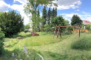 Attraktives Wohnhaus mit zwei getrennten Wohnungen, Garagen und herrlich großem, sonnigen Garten. – Die vollständige Adresse der Immobilie erhältst du vom Anbieter., 76476 Bischweier – Vorschaubild 11