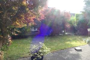 schönes Einfamilienhaus mit Garten zu vermieten! – Borkenfeld 250, 48161 Gievenbeck, Münster – Vorschaubild 28