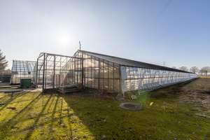 Naturnahes Leben mit der Großfamilie im "Kempener-Feld" von Krefeld Hüls – Die vollständige Adresse der Immobilie erhältst du vom Anbieter., 47839 Hüls, Krefeld – Vorschaubild 12