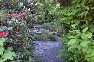 Property thumbnail 12