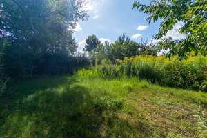 Property thumbnail 16