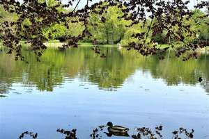 Property thumbnail 29