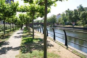 Property thumbnail 25