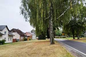 RESERVIERT!!! - FRÜHLINGSANGEBOT!!! - EIN KLEINER BAUERNHOF IN DER UCKERMARK ERWARTET SIE HIER! – Uckermark (Kreis) – Vorschaubild 31