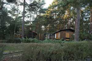 Idyllisch gelegener Ferienbungalow nahe Scharmützelsee in Waldlage – Oder-Spree (Kreis) – Vorschaubild 8