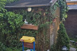 Reihenmittelhaus mit Anbau und Carport am Steimker Berg – Waldpfad 18, 38446 Steimker Berg, Wolfsburg – Vorschaubild 30