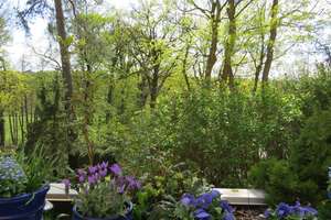 Beste Grunewaldlage mit Süd-Terrasse, Blick in den Grunewald - zurzeit vermietet) – Die vollständige Adresse der Immobilie erhältst du vom Anbieter., 14193 Grunewald, Berlin – Vorschaubild 6