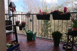 ***IHRE NEUE KAPITALANLAGE***SCHÖNE WOHNUNG IN DER NÄHE DES KÜCHWALDES IM SCHLOSSVIERTEL*** – Die vollständige Adresse der Immobilie erhältst du vom Anbieter., 9113 Schloßchemnitz, Chemnitz – Vorschaubild 4