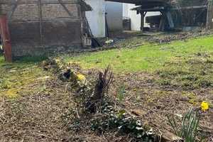 WI-Naurod: einmaliger historischer Dreiseitenhof zur Sanierung mit Baugrundstück – Obergasse 29, 65207 Wiesbaden – Vorschaubild 3