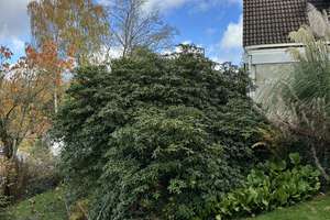  Ein Einfamilienhaus mit besonderem Charme, eingebettet in einen herrlich eingewachsenem Garten – Brockenberg 6, 45549 Sprockhövel – Vorschaubild 24