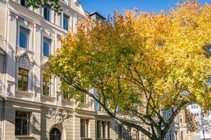 Großzügige 3-Raum-Erdgeschosswohnung mit Balkon – Andréstr. 23, 9112 Kaßberg, Chemnitz – Vorschaubild 6