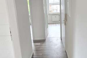 Frisch renovierte 3-Zimmer-Wohnung mit Balkon! – Stauderstraße 73, 45326 Altenessen-Süd, Essen – Vorschaubild 4