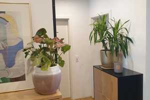 MODERNE ETAGENWOHNUNG ZUM WOHL-LEBEN – Hagen – Vorschaubild 8