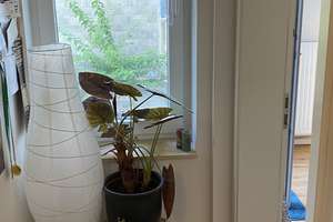 Gepflegte 2 Zimmer-Ergeschosswohnung mit Terrasse – Blumenstraße 79, 42655 Solingen-Mitte, Solingen – Vorschaubild 3
