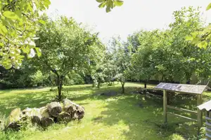 Ländliche Idylle für Sie und Ihre Familie Fachwerkhaus inkl. FeWo in Behrenwalde (Weitenhagen) – Nordvorpommern (Kreis) – Vorschaubild 16