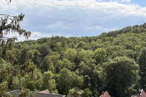Attraktive 3Zi Whg. mit sonnigem Balkon und Blick auf den Wald sucht Einzelmieter, teilmöbliert – Die vollständige Adresse der Immobilie erhältst du vom Anbieter., 70195 Botnang-Süd, Stuttgart – Vorschaubild 10