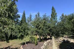 Exklusives Einfamilienhaus mit Einliegerwohnung und großen Garten in Hafennähe! – Rügen (Kreis) – Vorschaubild 5