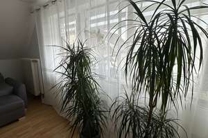 Alltagstaugliche 1-Zimmer-Wohnung in Augsburg Lechhausen – Schleiermacherstraße 27, 86165 Lechhausen-Süd, Augsburg – Vorschaubild 3