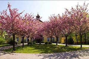 Wohnen mit Charakter: Zweizimmerwohnung in Rothenburg – Theodor-Stock-Str 20, 2929 Rothenburg/Oberlausitz – Vorschaubild 19