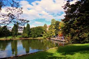 Property thumbnail 17