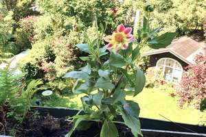 Property thumbnail 8