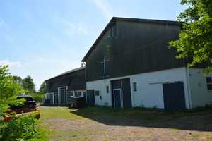 Ruhe & Natur: Resthof mit arrondiertem Weideland – Dithmarschen (Kreis) – Vorschaubild 11