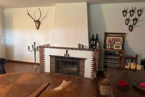 Villa in Köln-Hahnwald 178 m² / 2.000 m² Grundstück – Die vollständige Adresse der Immobilie erhältst du vom Anbieter., 50996 Hahnwald, Köln – Vorschaubild 30