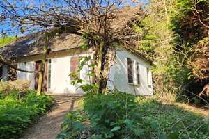 Landliebe pur! Idyllische Alleinlage im Wald. – Die vollständige Adresse der Immobilie erhältst du vom Anbieter., 44797 Stiepel, Bochum – Vorschaubild 3
