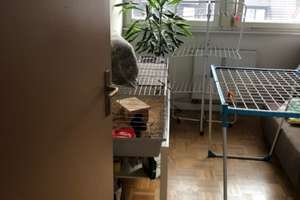 Praktisch nutzbares Haus in Stuttgart Bad Cannstatt – Ebitzweg 20, 70374 Winterhalde, Stuttgart – Vorschaubild 13