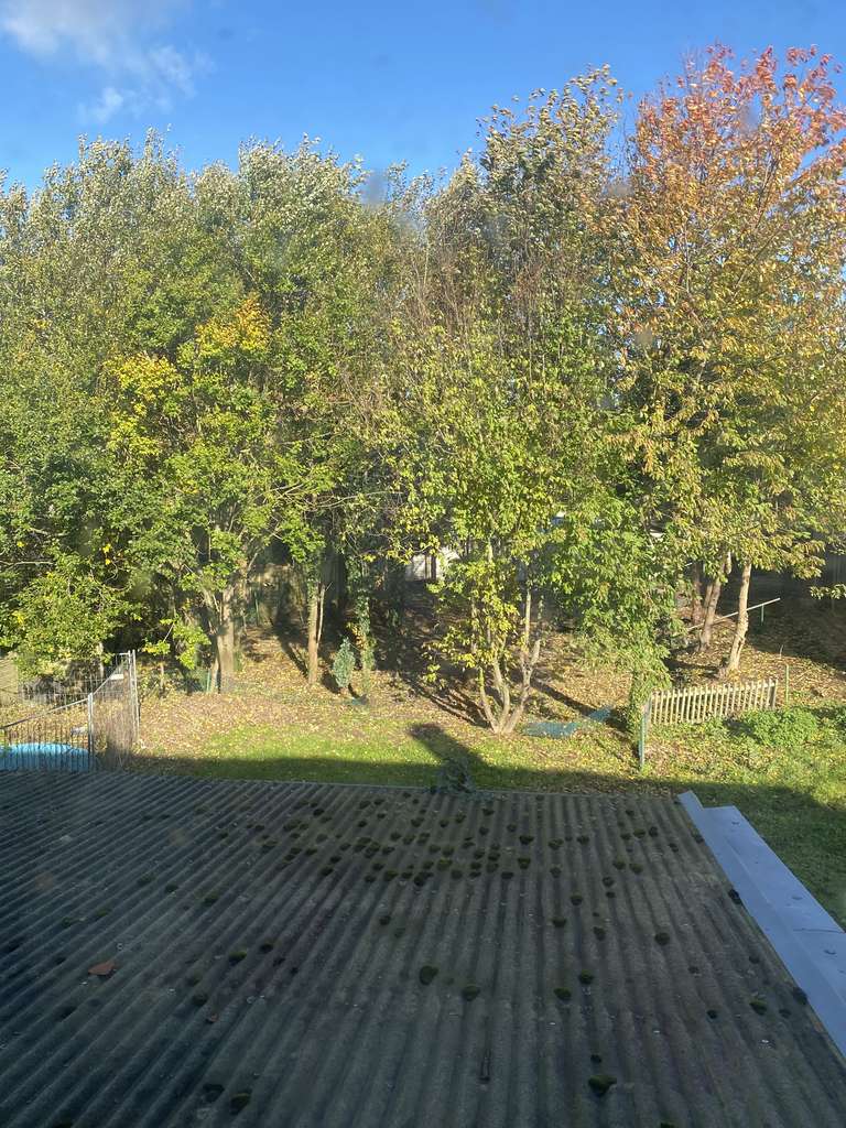 Immobilie in Erkelenz - Zweifamilienhaus mit Doppelgarage - Bild 2